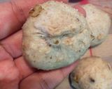 チーズinクルミのちぎりパン♪作り方9写真