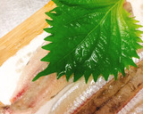 ふんわり☆にぎすのシソ巻き天ぷら作り方4写真
