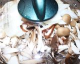 フライパン１つで簡単牡蠣と茸のチャウダー作り方3写真
