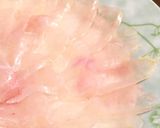 簡単♪時短♪節約♪お手軽♪カワハギの菊盛作り方11写真