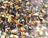 和食の基本★分量簡単！大豆とひじきの煮物作り方3写真
