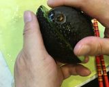 白身魚のマリネとアボカドのサラダ風作り方13写真