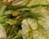 肉巻き絹揚げと*白菜*大根の煮物作り方1写真