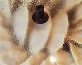 超簡単♪我が家のウマウマ餃子‼作り方5写真