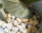 【鼬村】納豆を作ってみた作り方2写真