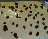 クランベリーチーズケーキ作り方13写真