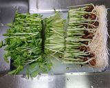 お父さんの豆苗サラダ作り方2写真