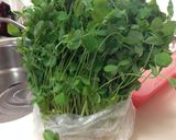 豆苗お浸し作り方1写真