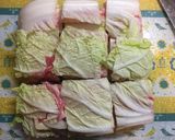 白菜と豚肉とレンコンと油揚げの重ね鍋作り方8写真