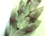 鯵酢 木の葉造り作り方8写真