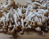 キノコともやし◆鶏むね肉のコンソメ醤油煮作り方3写真