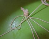 最速の組み紐のパスタ作り方7写真
