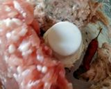 サルシッチャ(皮なしタイプ)作り方2写真