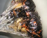炊飯器でご飯と一緒に炊く●ひじきの煮物●作り方2写真