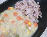 かける派　ひき肉とミックスベジのシチュー作り方4写真