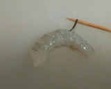 魚屋流♪冷凍殻付き海老の下処理。作り方4写真