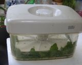 大根のおろ抜きの漬け物作り方6写真