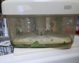 大根のおろ抜きの漬け物作り方7写真