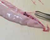 鮭の白子の煮付け作り方1写真