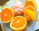 みかんシャーベット作り方1写真