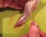 たまらん！いかワタのホイル焼き作り方5写真