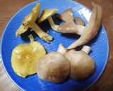 シモコシ、本しめじ、むかご、大根の味噌汁作り方1写真