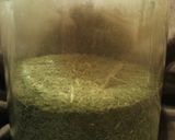 枇杷の葉粉末茶作り方5写真