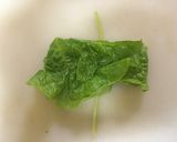 子供喜ぶ♪サラダ大好きりぼんレタス作り方5写真