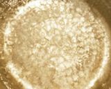 菜の花 ゆずこしょうからし和え作り方1写真