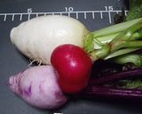 カラフル二十日大根の‥‥即席酢漬け作り方1写真