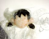 しずかちゃん と ドラエもん キャラ弁作り方3写真