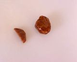 【キャラ弁】どんぐりデコおにぎり弁当作り方2写真