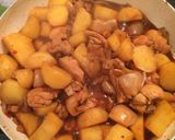 【本格中華】鶏肉とじゃがいもの煮物作り方7写真