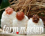 おむすびにも❤カルシウムまぜごはん♪作り方9写真