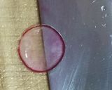 ３種類のお花のブルスケッタ作り方8写真