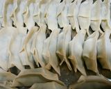 犬ご飯　ジューシー餃子作り方4写真