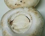 マッシュルームのバジル風味の簡単肉詰め♪作り方2写真