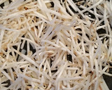 もやしと竹輪の✡焼きそば✡にら玉のせ作り方3写真