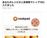 簡単!美味しい!アイスボックスクッキー作り方13写真