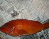 魚を捌こう！赤ハタの刺身・薄造り編作り方2写真