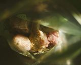 手羽元のレモンクミン焼き***作り方2写真