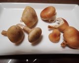 クリタケとナラタケ入り・鍋焼き肉うどん作り方3写真