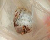 鶏もも肉のピカタ～チキンナゲット風～作り方3写真