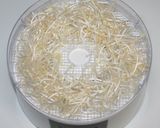 野菜高騰☆乾燥野菜たっぷりの海鮮春巻き作り方19写真