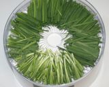 野菜高騰☆乾燥野菜たっぷりの絶品ぎょうざ作り方11写真
