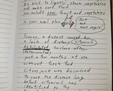簡単ラタトゥイユ Ratatouille作り方8写真