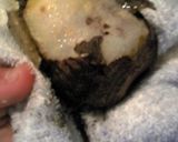 気持ちいい♪里芋の皮むいちゃいました。作り方3写真