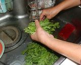 春菊の胡麻和え作り方1写真