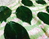 salted sakura leaves作り方1写真
