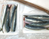 いわしとごぼうの煮物♪簡単作り方1写真